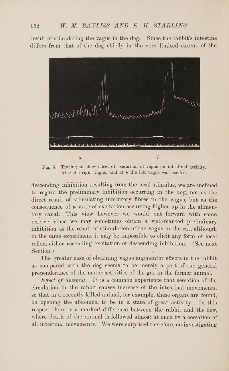result of stimulating the vagus in the dog. Since the rabbit’s intestine differs from that of the dog chiefly in the very limited extent of the 4 | i a b Fig. 5. Tracing to show effect of excitation of vagus on intestinal activity. At a the right vagus, and at b the left vagus was excited. descending inhibition resulting from the local stimulus, we are inclined to regard the preliminary inhibition occurring in the dog, not as the direct result of stimulating inhibitory fibres in the vagus, but as the consequence of a state of excitation occurring higher up in the alimen- tary canal. This view however we would put forward with some reserve, since we may sometimes obtain a well-marked preliminary inhibition as the result of stimulation of the vagus in the cat, although in the same experiment it may be impossible to elicit any form of local reflex, either ascending excitation or descending inhibition. (See next Section.) The greater ease of obtaining vagus augmentor effects in the rabbit as compared with the dog seems to be merely a part of the general preponderance of the motor activities of the gut in the former animal. Effect of anemia. It is a common experience that cessation of the circulation in the rabbit causes increase of the intestinal movements, so that in a recently killed animal, for example, these organs are found, on opening the abdomen, to be in a state of great activity. In this respect there is a marked difference between the rabbit and the dog, where death of the animal is followed almost at once by a cessation of all intestinal movements, We were surprised therefore, on investigating