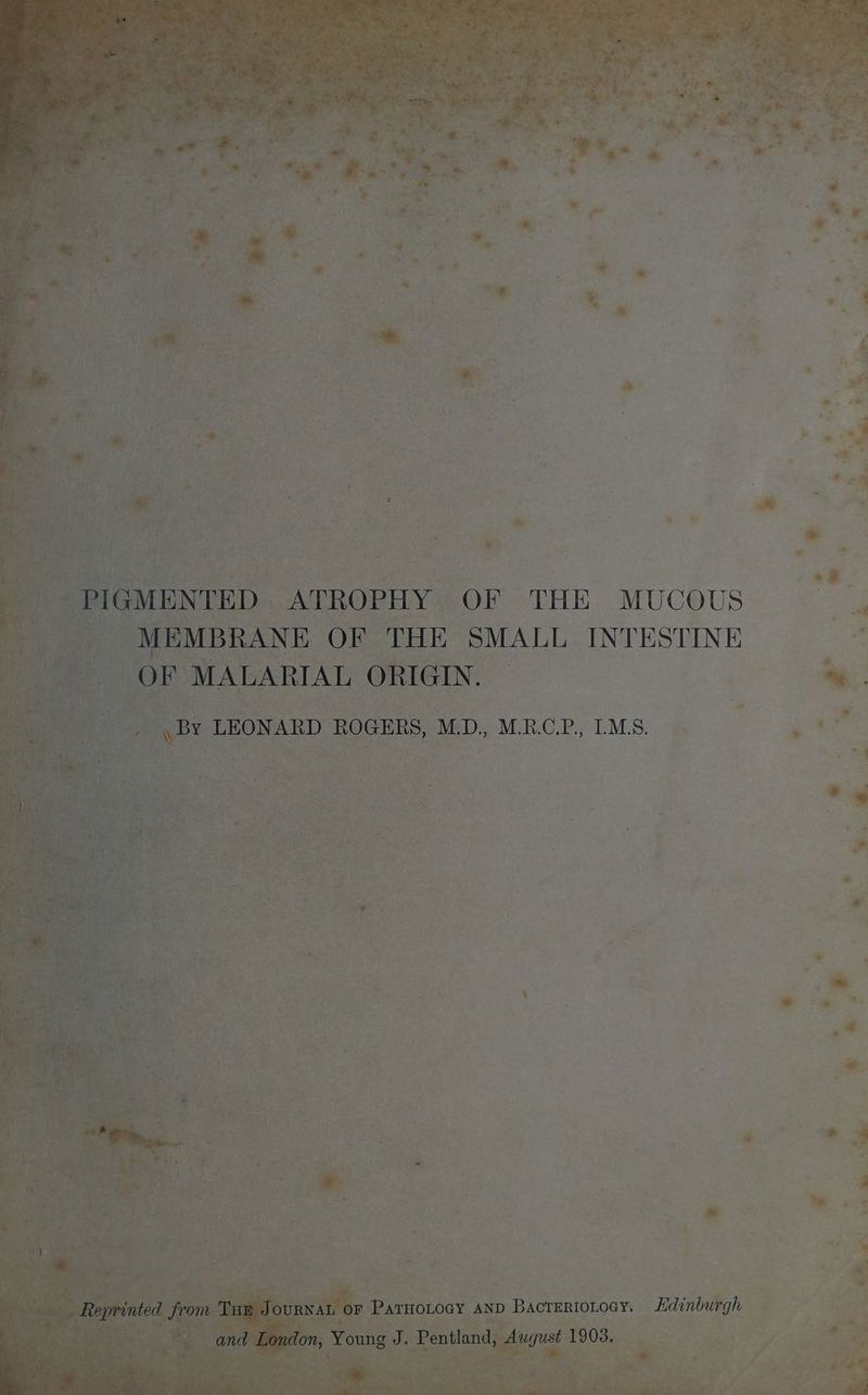 “MEMBRANE OF THE SMALL INTESTINE OF MALARIAL ORIGIN. 7 Bitinivarghe 7 x at Z