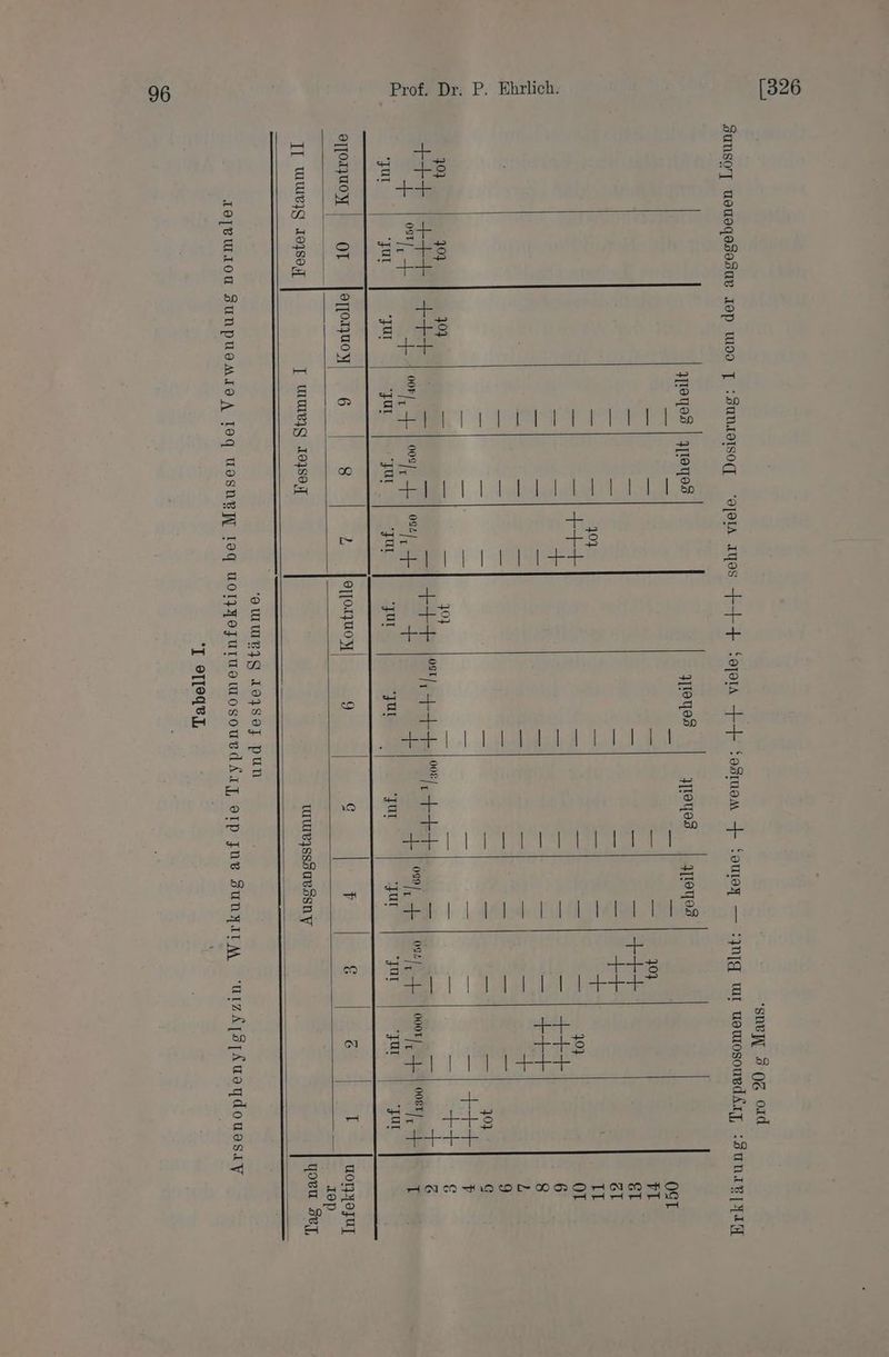 [326 P. Ehrlich. ProDr: 'snen 308g 01d Sunsor] ususgedosug Op wO9 T :SunteIsoq 'oJPIA OS +++ Soppra +4 !odruom + !ourey — :mig wr uewosouedär, :Sunae]yal oyo3 | Aroed oyos moyo3 | yroyod ur Tr = = 08T = - nr u = 4%} 2 -| — -| - 144 et = = = = ee &amp;1 Fe 7. ai = = 3 gi a air = er = a oL -ı |. + _ — Sole Beer 6 akt: — = je er 8 Ar = -1 + h=-|. 4 , a 2% er = == = sr Zr ) T a: = au: > > at F— 4% 3 sl. = — Re 9 7 9 _ u 30} a 7 = a ee elle SE a | ee le ee | + ee ers | LE + + + [ef + (een | nie nn B ur Au! ‚zur Si us ar u al El al | nn eo T}uoy 07 jemoguoy 6 8 L oTo-T7uoy I G ’ &amp; G I uorjoFuf 2 Top yogu Se,