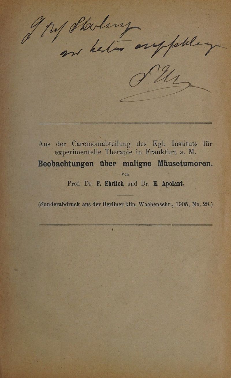 Aus der Careinomabteilung des Kgl. Instituts für experimentelle Therapie i in Frankfurt a. M. Beobachtungen über maligne Mäusetumoren.