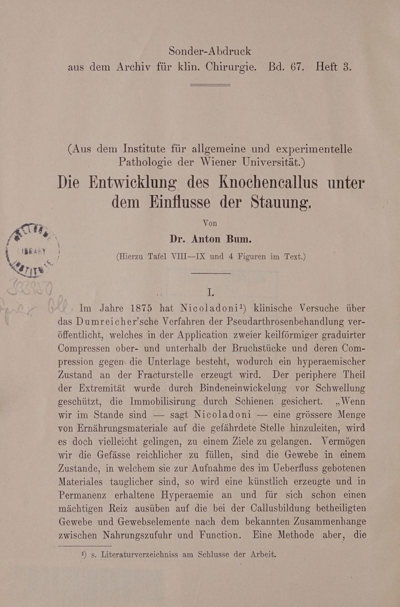 Sonder-Abdruck aus dem Archiv für klin. Chirurgie. Bd. 67. Heft 3. (Aus dem Institute für allgemeine und experimentelle Pathologie der Wiener Universität.) Die Entwicklung des Knochencallus unter dem Einflusse der Stauung. Von Dr. Anton Bum. (Hierzu Tafel VIII—IX und 4 Figuren im Text.) 1. Im Jahre 1875 hat Nicoladoni!) kiinische Versuche über das Dumreicher’sche Verfahren der Pseudarthrosenbehandlung ver- öffentlicht, welches in der Application zweier keilförmiger graduirter Compressen ober- und unterhalb der Bruchstücke und deren Com- pression gegen‘ die Unterlage besteht, wodurch ein hyperaemischer Zustand an der Fracturstelle erzeugt wird. Der periphere Theil der Extremität wurde durch Bindeneinwickelung vor Schwellung geschützt, die Immobilisirung durch Schienen gesichert. „Wenn wir im Stande sind — sagt Nicoladoni — eine grössere Menge von Ernährungsmateriale auf die gefährdete Stelle hinzuleiten, wird es doch vielleicht gelingen, zu einem Ziele zu gelangen. Vermögen wir die Gefässe reichlicher zu füllen, sind die Gewebe in einem Zustande, in welchem sie zur Aufnahme des im Ueberfluss gebotenen Materiales tauglicher sind, so wird eine künstlich erzeugte und in Permanenz erhaltene Hyperaemie an und für sich schon einen mächtigen Reiz ausüben auf die bei der Callusbildung betheiligten Gewebe und Gewebselemente nach dem bekannten Zusammenhange zwischen Nahrungszufuhr und Function. Eine Methode aber, die