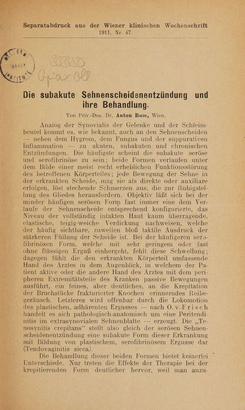 Separatabdruck aus der Wiener klinischen Wochenschrift 1911, Nr. #7. Die subakute Sehnenscheidenentzündung und ihre Behandlung. Von Priv.-Doz. Dr. Anton Bum, Wien. Analog der Synovialis der Gelenke und der Schleim- beutel kommt es, wie bekannt, auch an den Sehnenscheiden — neben dem Hvgrom, dem Fungus und. der suppurativen Inflammation — zu akuten, subakuten und chronischen, Entzündungen. Die häufigste scheint die subakute seröse und serofibrinöse zu sein; beide Formen verlaufen unter dem Bilde einer meist recht erheblichen Funktionsstörung des betroffenen Körperteiles; jede Bewegung der Sehne in der erkrankten Scheide, mag sie als direkte oder auxiliare erfolgen, löst stechende Schmerzen aus, die zur Ruhigstel- lung des Gliedes herausfordern. Objektiv läßt sich bei der minder häufigen serösen Form fast immer eine dem Ver- laufe der Sehnenscheide entsprechend konfigurierte, das Niveau der vollständig intakten Haut kaum überragende, elastische, teigig-weiche Verdickung nachweisen, welche der häufig sichtbare, zuweilen bloß taktile Ausdruck der stärkeren Füllung der Scheide ist. Bei der häufigeren sero- _ fibrinösen Form, welche mit sehr geringem oder fast . ohne flüssigen Erguß einhergeht, fehlt diese Schwellung; dagegen fühlt die den erkrankten Körperteil umfassende Hand des Arztes in dem Ausenblick, in welchem der Pa- tient aktive oder die andere Hand des Arztes mit dem peri- pheren Extremitätsteile des Kranken passive Bewegungen ausführt, ein feines, aber deutliches, an die Krepitation der Bruchstücke frakturierter Knochen erinnerndes Reibe- seräusch. Letzteres wird offenbar durch die Lokomotion des plastischen, adhärenten Ergusses — nach O.v.Frisch handelt es sich pathologisch-anatomisch um eine Peritendi- nıtis im extrasynovialen Sehnenblatte — erzeugt. Die ‚‚Te- nosynitis crepitans‘“ stellt also gleich der serösen Sehnen- scheidenentzündung eine subakute Form dieser Erkrankung mit Bildung von plastischem, serolibrinösem a: dar (Tendovaginitis sicca). Die Behandlung dieser beiden Formen bietet elarer - Unterschiede. Nur treten die Effekte der Therapie bei der _ krepitierenden Form deutlicher hervor, weil man anzu-
