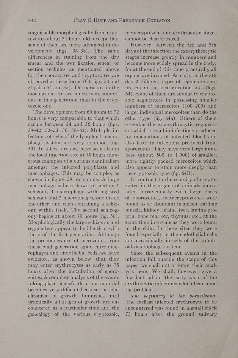 tinguishable morphologically from cryp- tozoites about 24 hours old, except that some of them are more advanced in de- velopment (figs. 36-38). The same differences in staining from the dry smear and the wet fixation smear or section technics as mentioned above for the sporozoites and cryptozoites are observed in these forms (Cf. figs. 50 and 51; also 54 and 55). The parasites in the inoculation site are much more numer- ous in this generation than in the cryp- tozoic one. ; The development from 60 hours to 72 hours is very comparable to that which occurs between 24 and 36 hours (figs. 39-42, 52-53, 56, 58-61). Multiple in- fections of cells of the lymphoid-macro- phage system are very common (fig. 53). In a few birds we have seen also in the local injection site at 70 hours num- erous examples of a curious cannibalism amongst the infected polyblasts and macrophages. This may be complex as shown in figure 59, or simple. A large macrophage is here shown to contain 1 schizont, 1 macrophage with ingested schizont and 2 macrophages, one inside the other, and each containing a schiz- ont within itself. The second schizog- ony begins at about 70 hours (fig. 58). Morphologically the large schizonts and segmenters appear to be identical with those of the first generation. Although the preponderance of merozoites from the second generation again enter mac- rophages and endothelial cells, we have evidence, as shown below, that they may enter erythrocytes as early as 75 hours after the inoculation of sporo- zoites. A complete analysis of the events taking place henceforth in our material becomes very difficult because the syn- chronism of growth diminishes until practically all stages of growth are en- countered at a particular time and the genealogy of the various cryptozoic, metacryptozoic, and erythrocytic stages cannot be clearly traced. However, between the 3rd and 5th days of the infection the exoerythrocytic stages increase greatly in numbers and become more widely spread in the body, for at the end of this time practically all organs are invaded. As early as the 5th day 2 different types of segmenters are present in the local injection sites (figs. 64). Some of them are similar to crypto- zoic segmenters in possessing smaller numbers of merozoites (100-200) and larger individual merozoites than do the other type (fig. 64a). Others of them resemble the exoerythrocytic segment- ers which prevail in infections produced by inoculations of infected blood and also later in infections produced from sporozoites. They have very large num- bers (about 500 to 1,000) of smaller, more tightly packed merozoites which also appear to stain more deeply than the cryptozoic type (fig. 64B). In contrast to the scarcity of crypto- zoites in the organs of animals inocu- lated intravenously with large doses of sporozoites, metacryptozoites were found to be abundant in spleen, cardiac muscle, kidney, brain, liver, lamina pro- pria, bone marrow, thymus, etc., at the same time intervals as they were found in the skin. In these sites they were found especially in the endothelial cells and occasionally in cells of the lymph- oid-macrophage system. Since the subsequent events in the infection fall outside the scope of this ysis here. We shall, however, give a few facts about the early parts of the erythrocytic infections which bear upon the problem. The beginning of the parasitemia. The earliest infected erythrocyte to be encountered was found in a.small chick 75 hours after the ground salivary