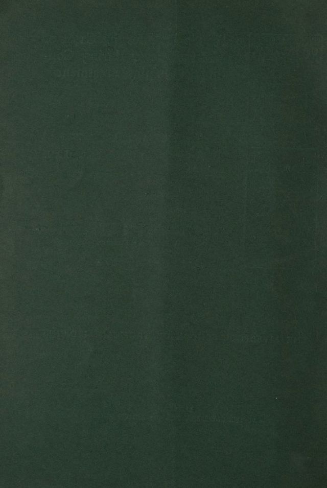 digitised image 2
