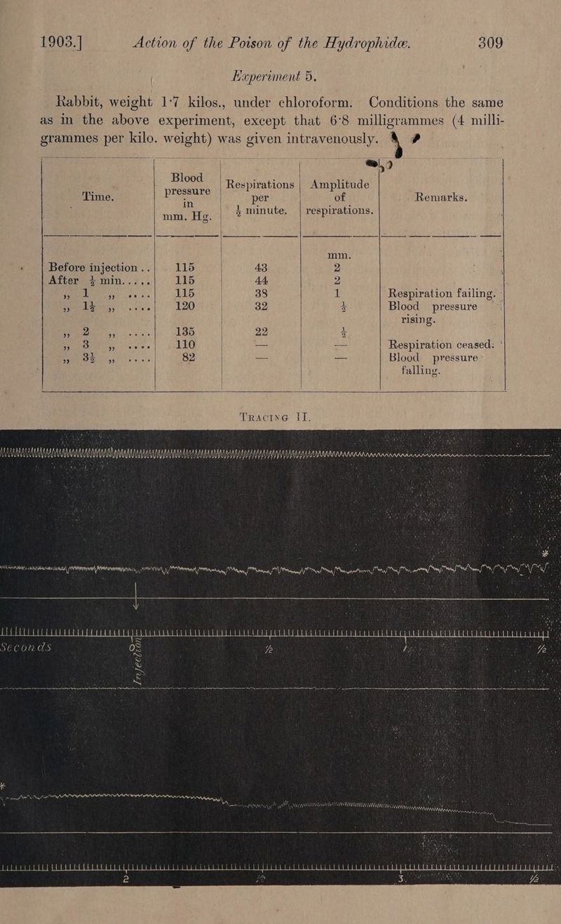 Kapervment 5. Rabbit, weight 1-7 kilos., under chloroform. Conditions. the same as in the above experiment, except that 6°8 milligrammes (4 milli- grammes per kilo. weight) was given intravenously. &amp;\&amp; # | Blood | | Bi anes Respirations | Amplitude Time. 4 ie | per of _. Remarks. mm, He. ¢ minute. | respirations. mm. Before injection .. 115 43 2 After 3 min..... 115 44 2 Lhe Oh ata 115 | 38 1 Respiration failing. - PLES se 120 32 4 Blood pressure — rising. oo a a ea 22 ; (2 110 | — oa Respiration ceased; ° 99 OE 9 ee ee | 82 | — — Blood pressure - | falling. ; a oalhaa ain Dibsaed Wteehan aie ae aia ce iia OW Mincrer tad ha Sone ifs nl [hon : song my MI, oye nl wy Mil i i. 4 Seconds 372 a Nae CeO Nae Se \4 , wl M awed nite NAAN Ys uN Wi WiMnniantannnes WARNAA ARN A A l