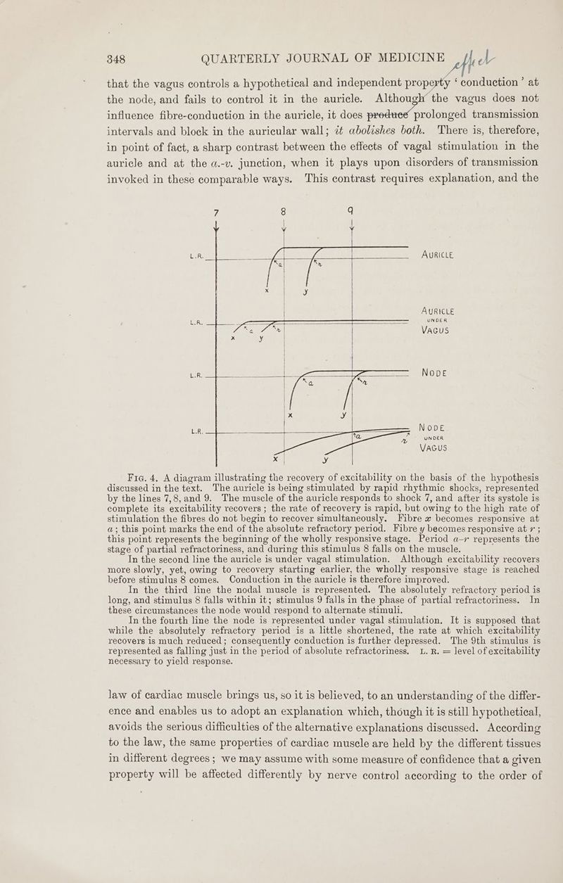 that the vagus controls a hypothetical and independent property ‘ conduction ’ at the node, and fails to control it in the auricle. Although the vagus does not influence fibre-conduction in the auricle, it does gee sae transmission intervals and block in the auricular wall; ¢¢ abolishes both. There is, therefore, in point of fact, a sharp contrast between the effects of vagal stimulation in the auricle and at the a.-v. junction, when it plays upon disorders of transmission invoked in these comparable ways. This contrast requires explanation, and the AURICLE AURICLE UNDER VAGUS NODE NODE UNDER VAGUS Fia. 4. A diagram illustrating the recovery of excitability on the basis of the hypothesis discussed in the text. The auricle is being stimulated by rapid rhythmic shocks, represented by the lines 7,8, and 9. The muscle of the auricle responds to shock 7, and after its systole is complete its excitability recovers ; the rate of recovery is rapid, but owing to the high rate of stimulation the fibres do not begin to recover simultaneously. Fibre « becomes responsive at a; this point marks the end of the absolute refractory period. Fibre y becomes responsive at + ; this point represents the beginning of the wholly responsive stage. Period a-7 represents the stage of partial refractoriness, and during this stimulus 8 falls on the muscle. In the second line the auricle is under vagal stimulation. Although excitability recovers more slowly, yet, owing to recovery starting earlier, the wholly responsive stage is reached before stimulus 8 comes. Conduction in the auricle is therefore improved. In the third line the nodal muscle is represented. The absolutely refractory period is long, and stimulus 8 falls within it; stimulus 9 falls in the phase of partial refractoriness. In these circumstances the node would respond to alternate stimuli. In the fourth line the node is represented under vagal stimulation. It is supposed that while the absolutely refractory period is a little shortened, the rate at which excitability recovers is much reduced; consequently conduction is further depressed. The 9th stimulus is represented as falling just in the period of absolute refractoriness. L.R. = level of excitability necessary to yield response. law of cardiac muscle brings us, so it is believed, to an understanding of the differ- ence and enables us to adopt an explanation which, though it is still hypothetical, avoids the serious difficulties of the alternative explanations discussed. According to the law, the same properties of cardiac muscle are held by the different tissues in different degrees ; we may assume with some measure of confidence that a given property will be affected differently by nerve control according to the order of