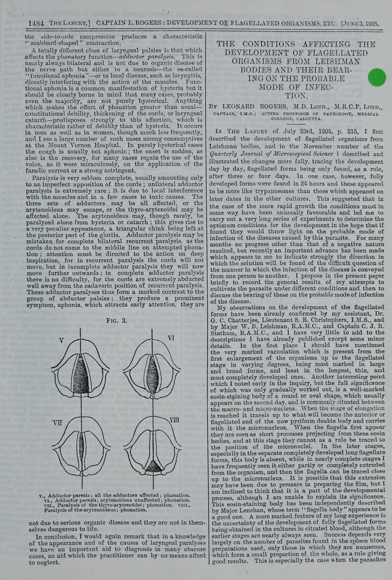 , —_—— the side-to-side compression produces a_ characteristic ‘* scabbard-shaped” contraction. A totally different class of laryngeal palsies is that which affects the phonatory function—adductor paralysis. This is nearly always bilateral and is not due to organic disease of the nerve path but either to a neurosis—the sae-called ‘*functional aphonia”—or to local disease, such as laryngitis, directly interfering with the action of the muscles. Func- tional aphonia is a common manifestation of hysteria but it should be clearly borne in mind that many cases, probably even the majority, are not purely hysterical. Anything which makes the effort of phonation greater than usual— constitutional debility, thickening of the cords, or laryngeal catarrh—predisposes strongly to this affection, which is characteristic rather of debility than of hysteria. It occurs in men as well as in women, though much less frequently, and I see a large number of such cases among consumptives at the Mount Vernon Hospital. In purely hysterical cases the cough is usually not aphonic; the onset is sudden, as also'is the recovery, for many cases regain the use of the voice, as it were miraculously, on the application of the faradic current or a strong astringent. Paralysis is very seldom complete, usually amounting only to an imperfect apposition of the cords ; unilateral adductor paralysis is extremely rare; it is due to local interference with the muscles and in a few cases to toxic causes. The three sets of adductors may be all affected, or the arytenoideus may escape, or the thyro-arytenoidei may be affected alone. The arytenoideus may, though rarely, be paralysed alone from hysteria or catarrh ; this gives rise to avery peculiar appearance, a triangular chink being left at the posterior part of the glottis. Adductor paralysis may be mistaken for complete bilateral recurrent paralysis, as the cords do not come to the middle line on attempted phona- tion; attention must be directed to the action on deep inspiration, for in recurrent paralysis the cords will not move, but in incomplete adductor paralysis they will now move further outwards; in complete adductor paralysis there is no difficulty, for the cords are. extremely abducted well away from the cadaveric position of recurrent paralysis. These adductor paralyses thus form a marked contrast to the group of abductor palsies; they produce a prominent symptom, aphonia, which attracts early attention, they are y., Adductor paresis; all the adductors affected; phonation. yi., Adductor paresis; arytenoideus unaffected; phonation. yu., Paralysis of the thyro-arytenoidei; phonation. VIIL., Paralysis of the arytenoideus; phonation. not due to serious organic disease and they are not in them- selves dangerous to life. In conclusion, I would again remark that in a knowledge of the appearance and of the causes of laryngeal paralyses we have an important aid to diagnosis in many obscure cases, an aid which the practitioner can by no means afford to neglect. THE CONDITIONS AFFECTING THE DEVELOPMENT OF FLAGELLATED ORGANISMS FROM LEISHMAN BODIES AND THEIR BEAR- ING ON THE PROBABLE & MODE OF INFEC- TION. By LEONARD ROGERS, M.D. Lonp., M.R.C.P. Lonp., CAPTAIN, I.M.S.; ACTING PROFFSS0R OF PATHOLOGY, COLLEGE, CALCUTTA. MEDICAL In THe Lancer of July 23rd, 1904, p. 215, I first described the development of flagellated organisms from Leishman bodies, and in the November number of the Quarterly Journal of Microscopical Science 1 described and illustrated the changes more fully, tracing the development day by day, flagellated forms being only found, as a rule, after three or four days. In one case, however, fully developed forms were found in 24 hours and these appeared to be more like trypanosomes than those which appeared on later dates in the other cultures. This suggested that in the case of the more rapid growth the conditions must in some way have been unusually favourable and led me to carry out a very long series of experiments to determine the optimum conditions for the development in the hope that if found they would throw light on the probable mode of infection of the diseases caused by this parasite. For many months no progress other than that of a negative nature resulted, but recently an important advance has been made which appears to me to indicate strongly the direction in which the solution will be found of the difficult question of the manner in which the infection of the disease is conveyed from one person to another. I propose in the present paper briefly to record the general results of my attempts to cultivate the parasite under different conditions and then to discuss the bearing of these on the probable mode of infection of the disease. My observations on the development of the flagellated forms have been already confirmed by my assistant, Dr. G. C. Chatterjee, Lieutenant 8. R. Christophers, I.M.S., and by Major W. B. Leishman, R,A.M.C., and Captain C. J. B- Statham, R.A.M.C., and I have very little to add to the descriptions I have already published except some minor details. In the first place I should have mentioned the very marked vacuolation which is present from the first enlargement of the organisms up to the flagellated stage in varying degrees, being most marked in large and broad forms, and least in the longest, thin, and most completely developed ones. Another interesting point which I noted early in the inquiry, but the full significance of which was only gradually worked ont, is a well-marked eosin-staining body of a round or oval shape, which usually appears on the second day, and is commonly situated between the macro- and micro-nucleus. When the stage of elongation is reached it travels up to what will become the anterior or flagellated end of the now pyriform double body and carries with it the micronucleus, When the flagella first appear they are seenas short processes projecting from these eosin bodies, and at this stage they cannot as a rule be traced to the position of the micronuclei. In the later stages, especially in the separate completely developed long flagellate forms, this body is absent, while ir nearly complete stages I have frequently seen it either partly or completely extruded from the organism, and then the flagella can be traced close up to the micronucleus. It is possible that this extrusion may bave been due to pressure in preparing the film, but I am inclined to think that it is a part of the developmental process, although I am unable to explain its significance. This eosin-staining body has been independently described by Major Lenehan, whose term ‘‘ flagella body” appears to be a good one. A more marked feature of my long experience 1s the uncertainty of the development of fully flagellated forms being obtained in the cultures in citrated blood, although the earlier stages are nearly always seen. Success depends very largely on the number of parasites found in the spleen blood preparations used, only those in which they are numerous, which form a small proportion of the whole, as a rule giving good results. This is especially the case when the parasites