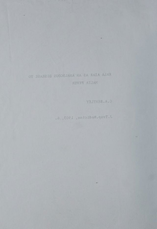 digitised image 2