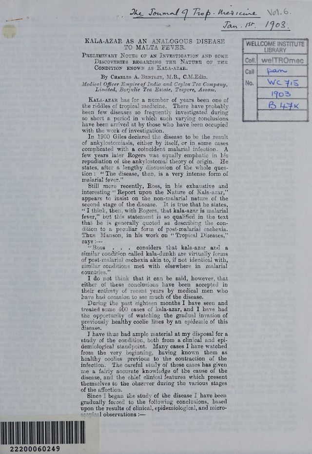 digitised image 3