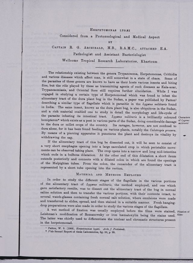 digitised image 3
