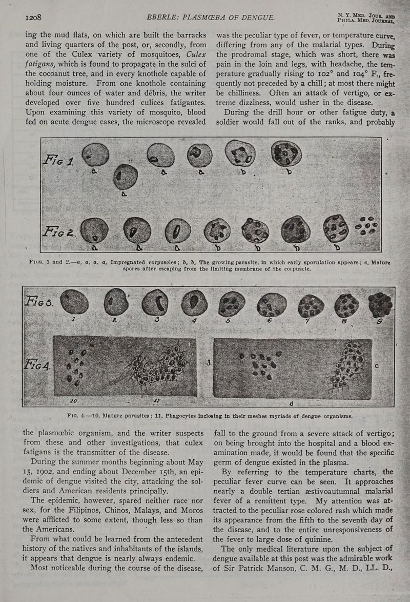 1208 ing the mud flats, on which are built the barracks and living quarters of the post, or, secondly, from one of the Culex ‘variety of mosquitoes, Culex fatigans, which is found to propagate in the sulci of the cocoanut tree, and in every knothole capable of holding moisture. From one knothole containing about four ounces of water and débris, the writer developed over five hundred culices fatigantes. Upon examining this variety of mosquito, blood fed on acute dengue cases, the microscope revealed N. Y. Mep. Jour , PHILA. MED. JouraL. was the peculiar type of fever, or temperature curve, differing from any of the malarial types. During the prodromal stage, which was short, there was pain in the loin and legs, with headache, the tem- perature gradually rising to 102° and 104° F., fre. quently not preceded by a chill; at most there might be chilliness. Often an attack of vertigo, or ex- treme dizziness, would usher in the disease. During the drill hour or other fatigue duty, a soldier would fall out of the ranks, and probably the plasmeebic organism, and the writer suspects from these and other investigations, that culex fatigans is the transmitter of the disease. During the summer months beginning about May 15, 1902, and ending about December 15th, an epi- - demic of dengue visited the city, attacking the sol- diers and American residents principally. The epidemic, however, spared neither race nor sex, for the Filipinos, Chinos, Malays, and Moros were afflicted to some extent, though less so than the Americans. , From what could be learned from the antecedent history of the natives and inhabitants of the islands, it appears that dengue is nearly always endemic. Most noticeable during the course of the disease, fall to the ground from a severe attack of vertigo; on being brought into the hospital and a blood ex- amination made, it would be found that the specific germ of dengue existed in the plasma. By referring to the temperature charts, the peculiar fever curve can be seen. It approaches nearly a double tertian zstivoautumnal malarial fever of a remittent type. My attention was at- tracted to the peculiar rose colored rash which made its appearance from the fifth to the seventh day of the disease, and to the entire unresponsiveness of the fever to large dose of quinine. The only medical literature upon the subject of dengue available at this post was the admirable work of Sir Patrick Manson, C. M. G., M. D., LL. D.,