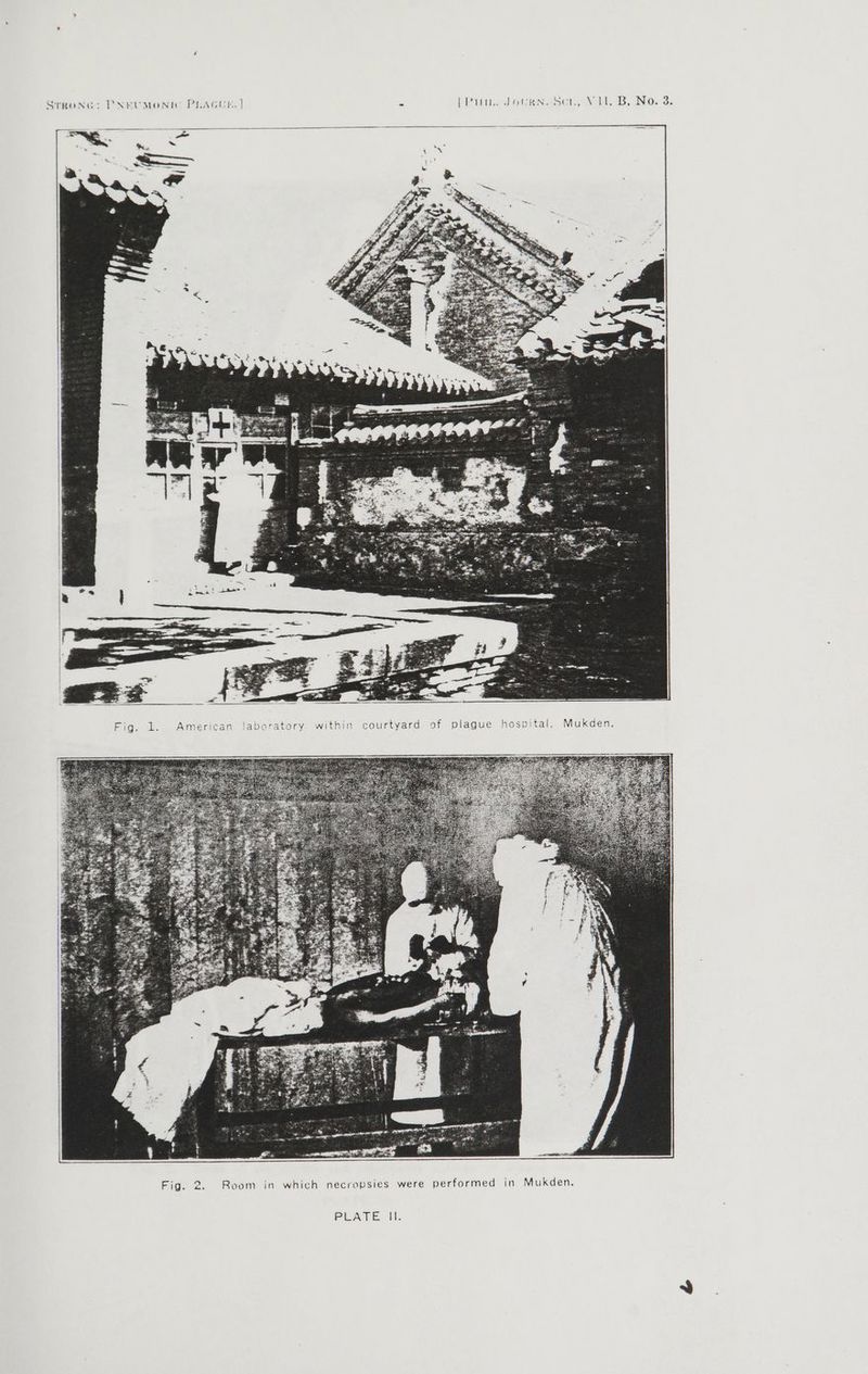 Sree: PNEUMeNIGC PLAGUE. | a Pirin. Loupniaoer., Soul, B, No. 3. Fig. 2. Room in which necropsies were performed in Mukden. PEAKE Ul.