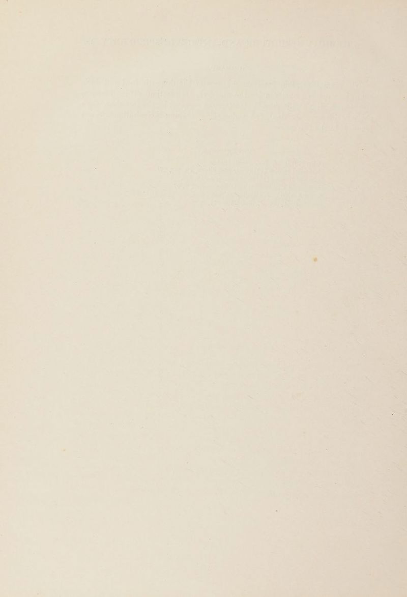 ‘ * ,  « * - a st ¢ f i- . ‘ w + ‘ > - + + « an ‘ ‘ , 7 te * é a ‘ = * ‘ 7 ’ r ’ a) * f . . ‘ ” F - ‘ a ‘ ‘  ¢ : x 9 hae of : ‘ Bas seg ; ; A , i Aw. s ; . cit wiyeaunrieat ia ssepeee) 6) ea i EY yan, tts rit ceie ; Wink ee iA arn § aii tS | pat ie Date fa ise fig a 4 ‘ } * ta 7 : - . . i Rena