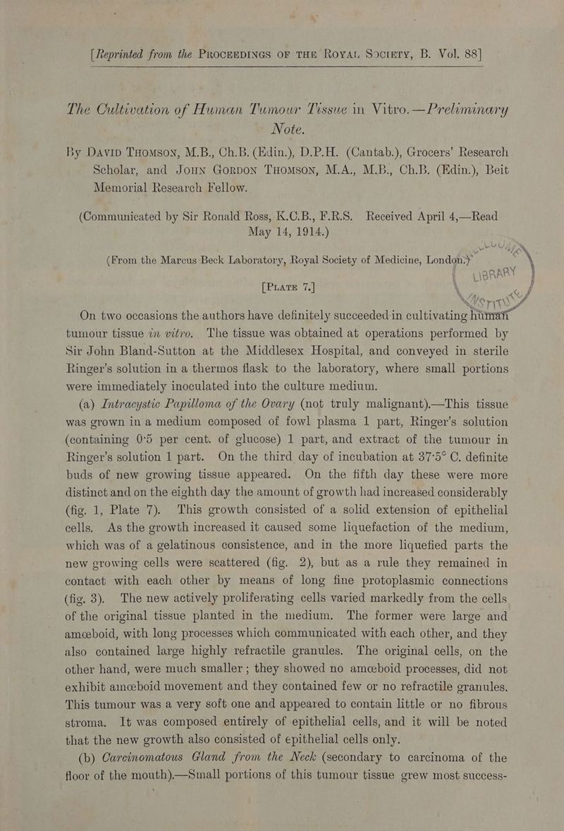 [Reprinted from the PROCEEDINGS OF THE Roya Socrery, B. Vol. 88] The Cultivation of Human Tumour Tissue mn Vitro. —Preliminary Note. sy Davin THomson, M.B., Ch.B. (Edin.), D.P.H. (Cantab.), Grocers’ Research Scholar, and Joun Gorpon Tuomson, M.A., M.B., Ch.B. (Edin.), Beit Memorial Research Fellow. | (Communicated by Sir Ronald Ross, K.C.B., F.R.S. Received April 4,—Read May 14, 1914.) (From the Marcus Beck Laboratory, Royal Society of Medicine, London.) [PLate 7.] «{ #£ AA Nar ‘Oy <\\ S&amp;S r Ya On two occasions the authors have definitely succeeded in cultivating himatr tumour tissue 7 vitro. The tissue was obtained at operations performed by Sir John Bland-Sutton at the Middlesex Hospital, and conveyed in sterile Ringer’s solution in a thermos flask to the laboratory, where small portions were immediately inoculated into the culture medium. (a) Intracystic Papilloma of the Ovary (not truly malignant)—This tissue was grown in a medium composed of fowl plasma 1 part, Ringer’s solution (containing 0°5 per cent. of glucose) 1 part, and extract of the tumour in Ringer’s solution 1 part. On the third day of incubation at 37-5° C. definite buds of new growing tissue appeared. On the fifth day these were more distinct and on the eighth day the amount of growth had increased considerably (fig. 1, Plate 7). This growth consisted of a solid extension of epithelial cells. As the growth increased it caused some liquefaction of the medium, which was of a gelatinous consistence, and in the more liquefied parts the new growing cells were scattered (fig. 2), but as a rule they remained in contact with each other by means of long fine protoplasmic connections (fig. 3). The new actively proliferating cells varied markedly from the cells of the original tissue planted in the medium. The former were large and amoeboid, with long processes which communicated with each other, and they also contained large highly refractile granules. The original cells, on the other hand, were much smaller ; they showed no amceboid processes, did not exhibit ainceboid movement and they contained few or no refractile granules. This tumour was a very soft one and appeared to contain little or no fibrous stroma. It was composed entirely of epithelial cells, and it will be noted that the new growth also consisted of epithelial cells only. (b) Carcinomatous Gland from the Neck (secondary to carcinoma of the floor of the mouth).—Small portions of this tumour tissue grew most success-