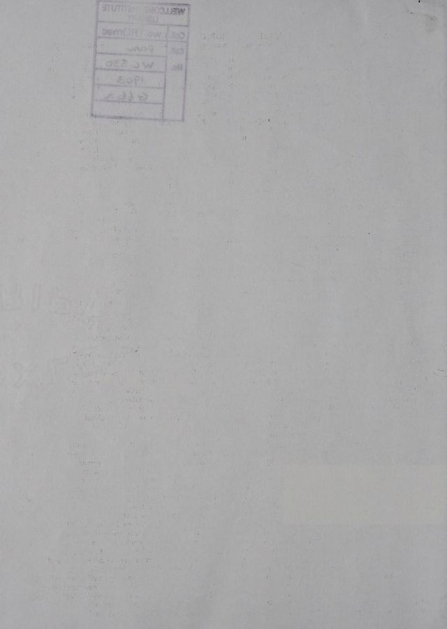 digitised image 2
