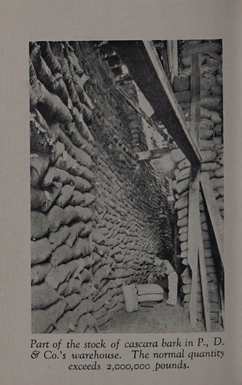 &amp; Co.’s warehouse. The normal quantity exceeds 2,c00,000 pounds.