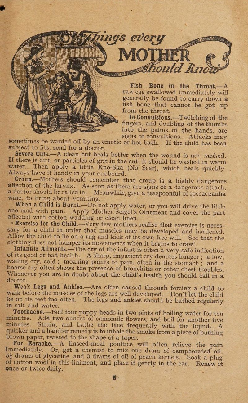 lings every ‘ UA aes: ASE < + AS) a Sa es lea i ‘ AMY NOS ; EY , 2 yl S shy a Se n ‘i O Tate - Fish Bone in the Throat.—A raw egg swallowed immediately will generally be found to carry down a fish bone that cannot be got up from. the throat. s — InConvulsions.—Twitching of the  fingers, and doubling of the thumbs _. into the palms. of the hands, are Sa ae signs of convulsions. Attacks may - sometimes be warded off by an emetic or hot bath. If the child has been - Subject to fits, send for a doctor. ae - _ Severe Cuts.—A clean cut heals better when the wound is nor -vashed. _ df there is dirt, or particles of grit in the cut, it should be washed in warm _ water._ Then apply a little Kno-Ska (No Scar), which heals quickly. . _ Always have it handy in your cupboard. -_Croup.—Mothers should remember that croup is a highly dangerous _ affection of the larynx. As-soon as'there are signs of a dangerous attack, __ a doctor should becalledin. Meanwhile, give a teaspoonful of ipecacuanha wine, to bring about vomiting. - a When a Child is Burnt.—Do not apply water, or you will drive the little _ One mad with pain. Apply Mother Seigel’s Ointment and cover the part _ affected with cotton wadding or clean linen. = ) Exercise for the Child.—Very few mothers realise that exercise is neces-~ _ sary for a child in order that muscles may be developed and hardened. _ Allow the child to lie on a rug and kick of its own free will. See that the _ €lothing does not hamper its movements when it begins to crawl. Infantile Ailments.—The cry of the infant is often a very safe indication __ ofits good or bad health. A sharp, impatient cry denotes hunger ; a low, _ wailing cry, cold; moaning points to pain, often in the stomach: and a ~hoarse cry oftett shows the presence of bronchitis or other chest troubles. _ Whenever you are in doubt about the child’s health you should callin a doctor. : _ Weak Legs and Ankles.—Are often caused through forcing a child to _ walk before the muscles of the legs are well devéloped. Don’t let the child be on its feet too often. The legs and ankles shotild be bathed regularly — in salt and water. - ; __ Toothache.—Boil four poppy heads in two pints of boiling water for ten _ minutes. Add two ounces of camomile flowers, and boil for another five ‘minutes. Strain, and bathe the face frequently with the liquid. A quicker and a handier remedy is to inhale the smoke from a piece of burning brown paper, twisted to the shape of a taper. For Earache.—A linseed-meal poultice will often relieve the pain _fimmediately. Or, get a chemist to mix one dram of camphorated oil, _ 54 drams of glycerine, and 3 drams of oi! of peach kernels... Soak a plug of cotton wool in this liniment, and place it gently in the ear. Renew it _ @nce or twice daily. = 2