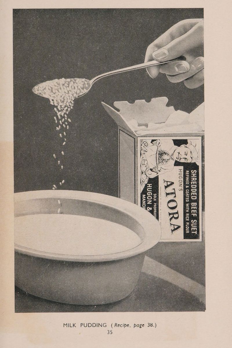 MILK PUDDING (Recipe, page 38.) study 3105