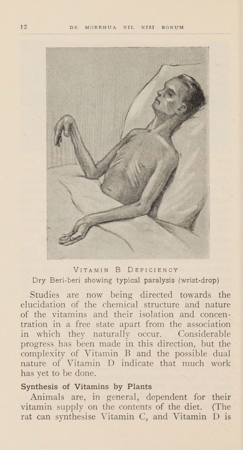Studies are now being directed towards the elucidation of the chemical structure and nature of the vitamins and their isolation and concen- tration in a free state apart from the association in which they naturally occur. Considerable progress has been made in this direction, but the complexity of Vitamin B and the possible dual nature of Vitamin D indicate that much work has yet to be done. Synthesis of Vitamins by Plants Animals are, in general, dependent for their vitamin supply on the contents of the diet. (The rat can synthesise Vitamin C, and Vitamin D is