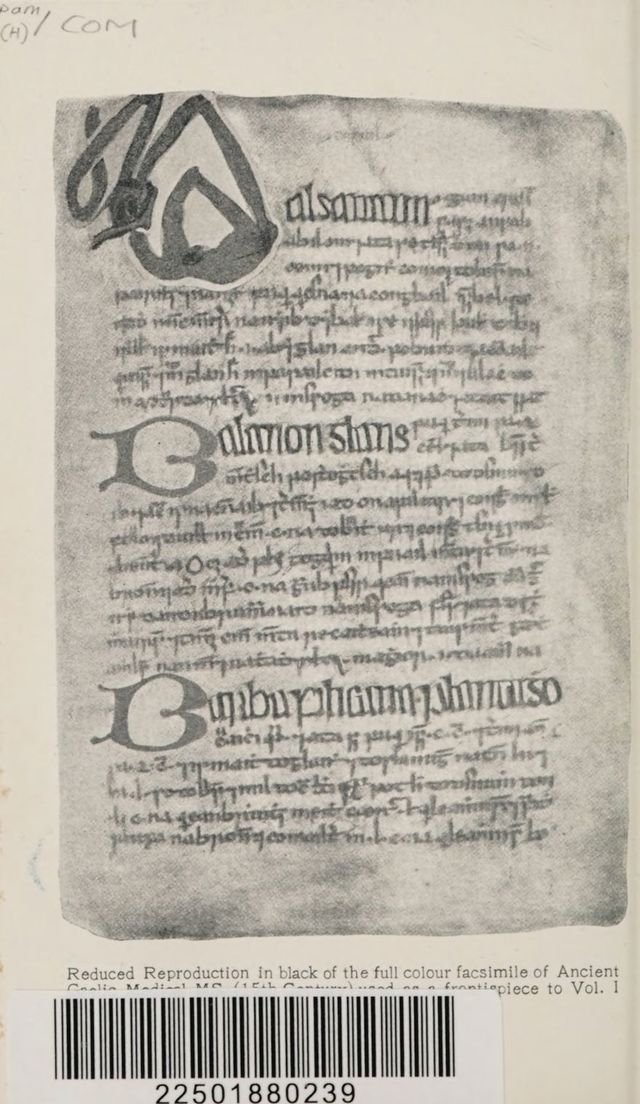 digitised image 2