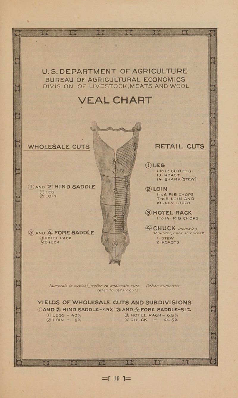 U.S. DEPARTMENT OF AGRICULTURE BUREAU OF AGRICULTURAL ECONOMICS | DIVISION OF LIVESTOCK,MEATS AND WOOL VEAL CHART | © LEG ae i1012 CUTLETS © “J3-ROAST ©. : : TR Gwatn Grew) (anv (2) HIND SADDLE soe @ LOIN a LEG ‘ LOIN a = : ivo6 RIB CHOPS &amp; Frois LOIN AND KIDNEY CHOPS S| HOTEL RACK oF P chOF : - CH u CK including @) AND &amp;) FORE SADDLE ® shoulder, mack and s : @HOTEL RACK 1- STEW _ CHUCK - @- ROASTS Numerals in circles refer to whalasale cuts. Other RUSTIC OLS: refver to retar/! cu#s YIELDS OF WHOLESALE CUTS AND SUBDIVISIONS | (DAND @) HIND SADDLE - -A9% @D AND 4@ FORE SADDLE-5I % GQLEGS - 40% | 8) HOTEL RACK- 6.5% @iLOin - 9% @ CHUCK = AS