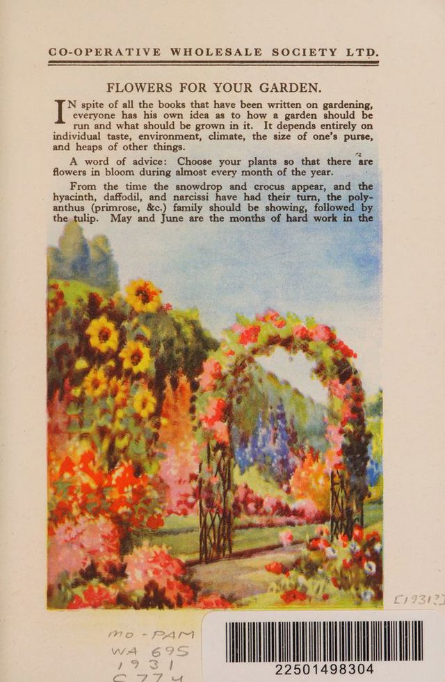 digitised image 3