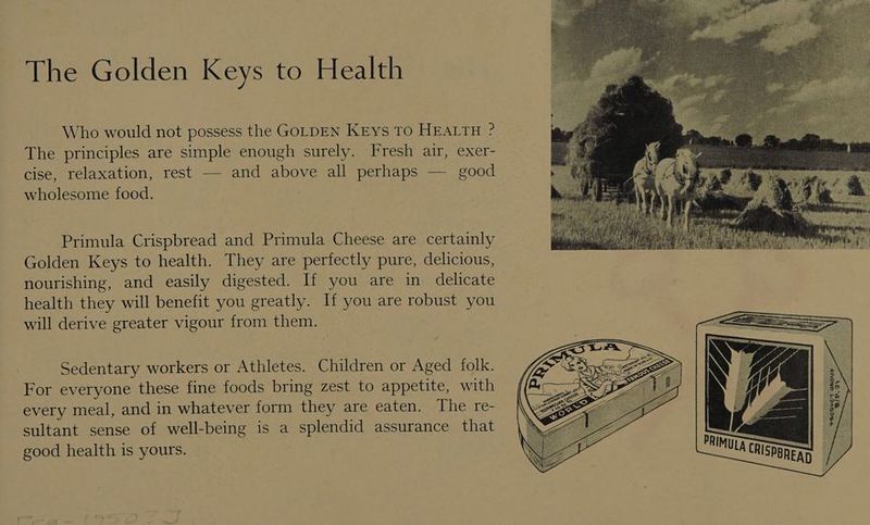 The Golden Keys to Health Who would not possess the GOLDEN Krys TO HEALTH ? The principles are simple enough surely. Fresh air, exer- cise, relaxation, rest — and above all perhaps — good wholesome food. Primula Crispbread and Primula Cheese are certainly Golden Keys to health. They are perfectly pure, delicious, nourishing, and easily digested. If you are in delicate health they will benefit you greatly. If you are robust you will derive greater vigour from them. Sedentary workers or Athletes. Children or Aged folk. For everyone these fine foods bring zest to appetite, with every meal, and in whatever form they are eaten. The re- sultant sense of well-being is a splendid assurance that good health is yours.