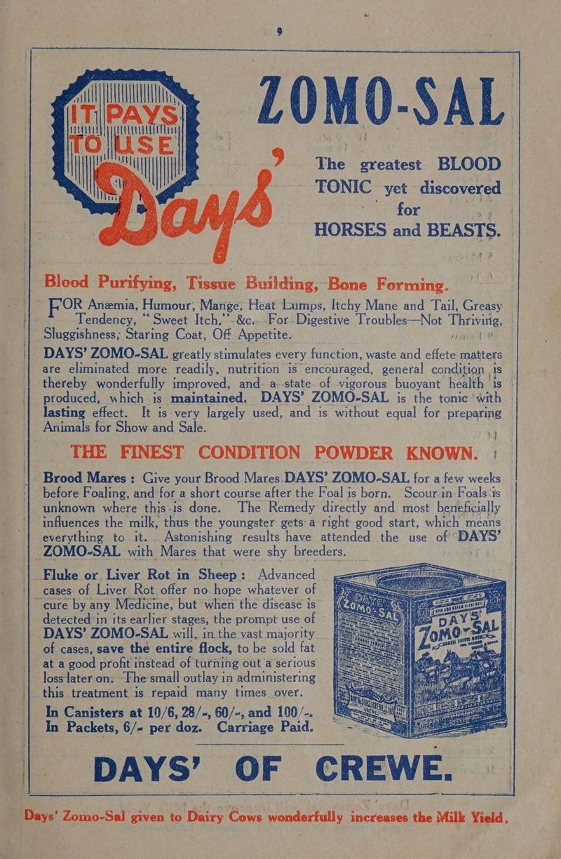 Ae . follse -L0MO0- SAL 9 The greatest BLOOD — TONIC yet discovered for “a HORSES and BEASTS. AHR Blood Purifying, Tissue Building, Bone Forming. OR Anemia, Humour, Mange, Heat Lumps, Itchy Mane and Tail, Greasy T reheus, “Sweet Itch,’’- &amp;c.- -For- Digestive Troubles—Not Thrbines ) Sluggishness; Staring Coat, Off Appetite. van d? DAYS’ ZOMO-SAL greatly stimulates every function, waste and ae matters are eliminated more readily, nutrition is “encouraged, general condition is thereby wonderfully improved, and- a-state of vigorous buoyant health is | produced, which is maintained, DAYS’ ZOMO-SAL is the tonic with | lasting effect. It is very largely used, and is without equal for preparing ty] THE FINEST CONDITION POWDER KNOWN. |; before Foaling, and: for a short course after the Foal is born. Scour.in Foals<is unknown where this-is done. The Remedy directly and most beneficially influences the milk, thus the youngster gets-a right good start, which means everything to it. Astonishing results have attended the use of bea / cases of Liver: Rot offer no, hope whatever of detected in its earlier stages, the prompt use of DAYS’ ZOMO-SAL will, in.the vast majority of cases, save the entire flock, to be sold fat at a good profit instead of turning out a serious loss later on. The small outlay in administering this treatment. is repaid many times. over. In Packets, 6/~ per doz. eae a Paid.