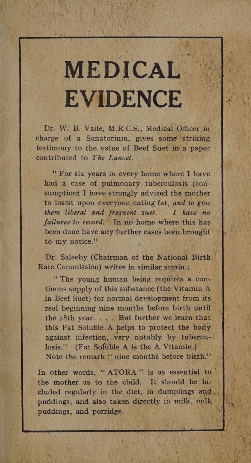 i ay i ees _ MEDICAL | EVIDENCE © Dr. W. B. Vaile, M.R.C.S., Medical Officer ve charge of a Sanatorium, gives some ‘striking testimony to the value of Beef Suet i in’ a paper contributed to The Lancet, | ‘“* For six years in every home where I have had a case of pulmonary tuberculosis (con- sumption} I have strongly advised the mother to insist upon everyone eating fat, and to give them liberal and frequent suet. I have no. failures to record. In no-home where this has been done aati any further cases been beoueet to my notice.’ ‘‘The young human being requires a con- tinous supply of this substance (the Vitamin A in Beef Suet) for normal development from its | real beginning nine months before birth until |. the 18th year. . . . But further we learn that this Fat. Soluble. ‘A helps to: protect the body against infection, , very notably. by ‘tubercu- losis.”” (Fat Soluble A is the A Vitamin.)) Note the remark ‘ ‘* nine sade before birth. Va In other words, ‘“‘ ATORA ” is as essential to’ the mother as to the child. It should be in- cluded regularly in the diet, in dumplings aud wily puddings, and also taken directly in mills, milk ot Betas eS puddings, and porridge. — SS He
