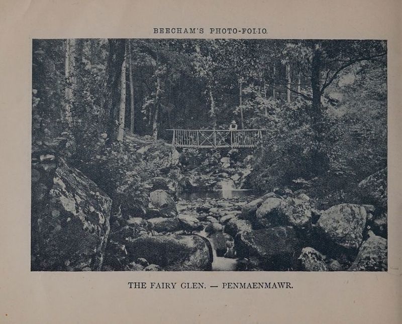 THE FAIRY GLEN. — PENMAENMAWR.