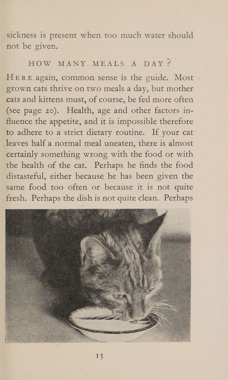 sickness is present when too much water should not be given. HOW MANY MEALS A DAY? HERE again, common sense is the guide. Most grown cats thrive on two meals a day, but mother cats and kittens must, of course, be fed more often (see page 20). Health, age and other factors in- fluence the appetite, and it is impossible therefore to adhere to a strict dietary routine. If your cat leaves half a normal meal uneaten, there is almost certainly something wrong with the food or with the health of the cat. Perhaps he finds the food distasteful, either because he has been given the same food too often or because it is not quite fresh. Perhaps the dish is not quite clean. Perhaps