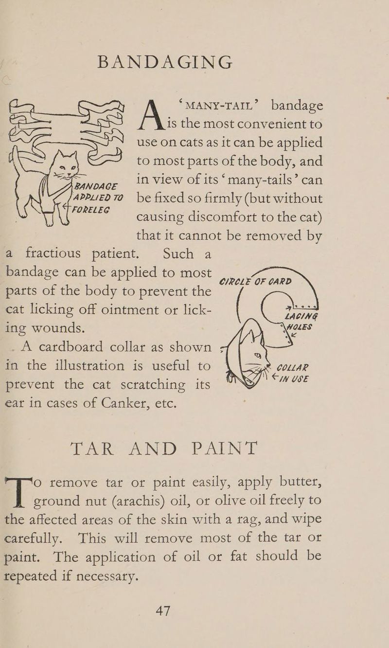 BANDAGING “MANY-TAIL’ bandage Ae the most convenient to use on cats as it can be applied to most parts of the body, and in view of its ‘many-tails’ can be fixed so firmly (but without causing discomfort to the cat) that it cannot be removed by a fractious patient. Such a bandage can be applied to most parts of the body to prevent the cat licking off ointment or lick- ing wounds. . A cardboard collar as shown in the illustration is useful to ptevent the cat scratching its eat in cases of Canker, etc. CIRCLE OF CARD Taek VND PAINT O remove tar or paint easily, apply butter, | fee nut (arachis) oil, or olive oil freely to the affected areas of the skin with a rag, and wipe catefully. This will remove most of the tar or paint. The application of oil or fat should be repeated if necessary.