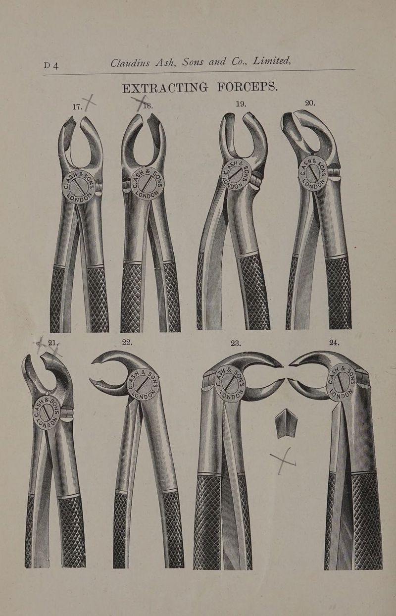EXTRACTING FORCEPS. rs . Y \\N aN \ ——_— | S35 8 “SIS Z BZ aN iz = jy Y ; a } re LY- wh = FZ. Zag, mf 2 = y * —
