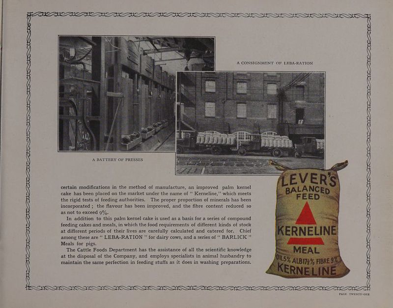 \ x SS A CONSIGNMENT OF LEBA-RATION A BATTERY OF PRESSES certain modifications in the method of manufacture, an improved palm kernel cake has been placed on the market under the name of ‘“‘ Kerneline,’’ which meets the rigid tests of feeding authorities. The proper proportion of minerals has been incorporated ; the flavour has been improved, and the fibre content reduced so as not to exceed 9%. In addition to this palm kernel cake is used as a basis for a series of compound feeding cakes and meals, in which the food requirements of different kinds of stock at different periods of their lives are carefully calculated and catered for. Chief among these are ‘‘ LEBA-RATION ” for dairy cows, and a series of ‘‘ BARLICK ” Meals for pigs. The Cattle Foods Department has the assistance of all the scientific knowledge at the disposal of the Company, and employs specialists in animal husbandry to maintain the same perfection in feeding stuffs as it does in washing preparations. Ne EEN LAE DN DIC. DO LION. DL GB OVO. IGE LEB DON BOLE GSD, GLEAN LOE GREG HTN GY PE SSE WSS DNB Wy EN SSE SOONG SEW DONE ROLE O WN ELE OREN OLR OLE OUP DIDO SSS FNS NSSF RRR LOCC PEE REO SOMEONE TFODNIE_PELI