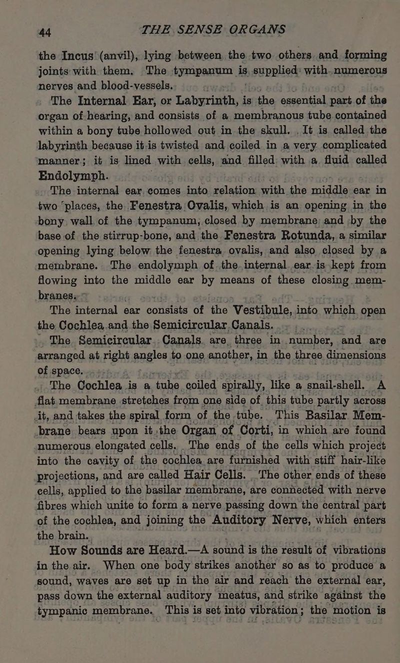 the Incus' (anvil), lying between the two others and forming joints with them. The tympanum is peuppiior: with..numerous nerves and blood-vessels. The Internal Ear, or Labyrinth, is the essential nies of the organ of-hearing, and consists of a membranous tube contained within a bony tube hollowed out in the skull. . It is called the labyrinth because it.is twisted and coiled in a very complicated manner; it is lined with cells, and filled: with a. fluid called Endolymph. The internal ear comes into relation with the middle ear in two ‘places, the Fenestra Ovalis, which is an opening in the bony wall of the tympanum, closed by membrane; and :by the base of the stirrup-bone, and the Fenestra Rotunda, a similar opening lying below the fenestra ovalis, and also closed by a membrane. The endolymph of the. internal.ear.is kept from flowing into the middle ear by means of these closing mem- branes.” , . Peveriad ‘sad The internal ear consists of the Vestibule, into which open the Cochlea.and the Semicircular Canals... , The Semicircular.. Canals. are, three in number, pad are arranged at right angles to one another, i in the three dimensions of space. ... The Gochlea.. is a ‘tube coiled spirally, like a snail- shell. A flat membrane stretches from one side of. this tube partly across it, and takes the spiral form of the tube. This Basilar Mem- brane. bears upon it the Organ of Corti, in which are found numerous elongated cells. The ends of the cells which project into the cavity of the cochlea. are furnished with stiff hair-like projections, and are called Hair Cells. The other ends of these cells, applied to the basilar membrane, are connected with nerve fibres which unite to form a nerve passing down the central part of the cochlea, and joining the Auditory Nerve, which enters the brain. How Sounds are Heard.—A sound i is the result of vibrations in the air. When one body strikes another so as to produce a sound, waves are set up in the air and reach the external ear, pass down the external auditory meatus, and strike against the tympanic membrane. This is set into vibration; the motion is