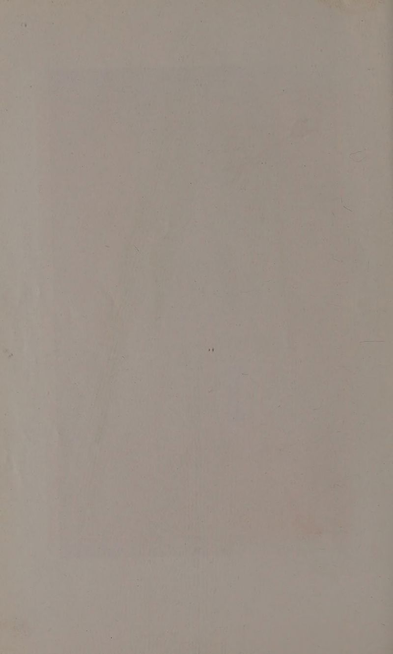 n Hy eer . 7 7 > i? = ¥ et a Ty jo = “at . ' s rn 3 Dy ‘t, —_ - ‘-, bs 4 ea S - . “a ¥ _ > Ne 7 { /- ‘ a 1 2 vf, es ois 5. a ok ' Pads > i's = 7 vi, 7 iz