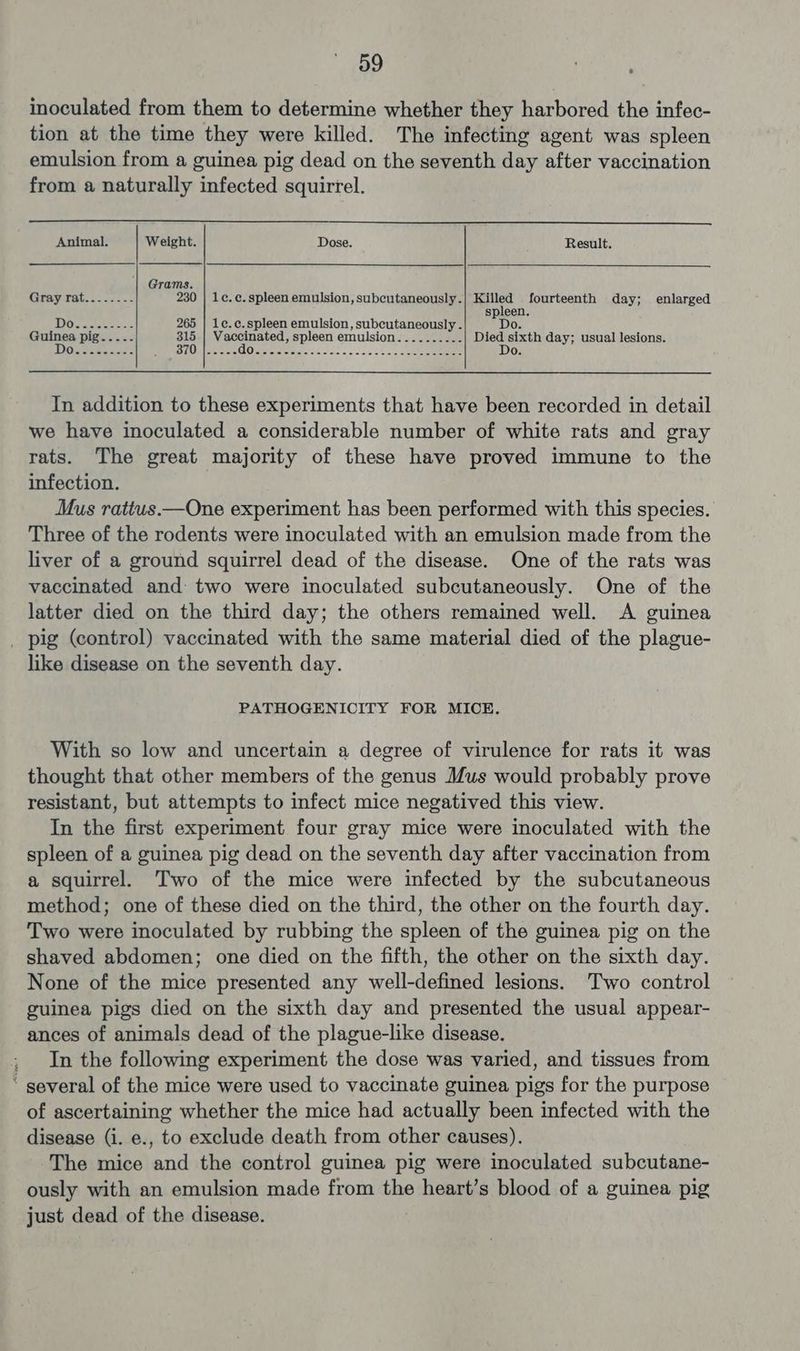 inoculated from them to determine whether they harbored the infec- tion at the time they were killed. The infecting agent was spleen emulsion from a guinea pig dead on the seventh day after vaccination from a naturally infected squirrel. Animal. Weight. Dose. Result. ‘| Grams. Gray rat: ...-:.- 230 | 1c. ce. spleen emulsion, subcutaneously.| Killed fourteenth day; enlarged spleen. Heahceeee 265 | 1e.c.spleen emulsion, subcuae a 0. cuinea pigs. .<< So iar rade , Spleen emulsion. . .-| Died sixth day; usual lesions. Seeeeace: i LOM ematetLO ettetere cis ce of 52-5. =<. a5 gee Do. In addition to these experiments that have been recorded in detail we have inoculated a considerable number of white rats and gray rats. The great majority of these have proved immune to the infection. Mus ratitus—One experiment has been performed with this species. Three of the rodents were inoculated with an emulsion made from the liver of a ground squirrel dead of the disease. One of the rats was vaccinated and: two were inoculated subcutaneously. One of the latter died on the third day; the others remained well. A guinea _ pig (control) vaccinated with the same material died of the plague- like disease on the seventh day. PATHOGENICITY FOR MICE. With so low and uncertain a degree of virulence for rats it was thought that other members of the genus Mus would probably prove resistant, but attempts to infect mice negatived this view. In the first experiment four gray mice were inoculated with the spleen of a guinea pig dead on the seventh day after vaccination from a squirrel. Two of the mice were infected by the subcutaneous method; one of these died on the third, the other on the fourth day. Two were inoculated by rubbing the spleen of the guinea pig on the shaved abdomen; one died on the fifth, the other on the sixth day. None of the mice presented any well-defined lesions. Two control guinea pigs died on the sixth day and presented the usual appear- ances of animals dead of the plague-like disease. , In the following experiment the dose was varied, and tissues from ’ several of the mice were used to vaccinate guinea pigs for the purpose of ascertaining whether the mice had actually been infected with the disease (i. e., to exclude death from other causes). The mice and the control guinea pig were inoculated subcutane- ously with an emulsion made from the heart’s blood of a guinea pig just dead of the disease.