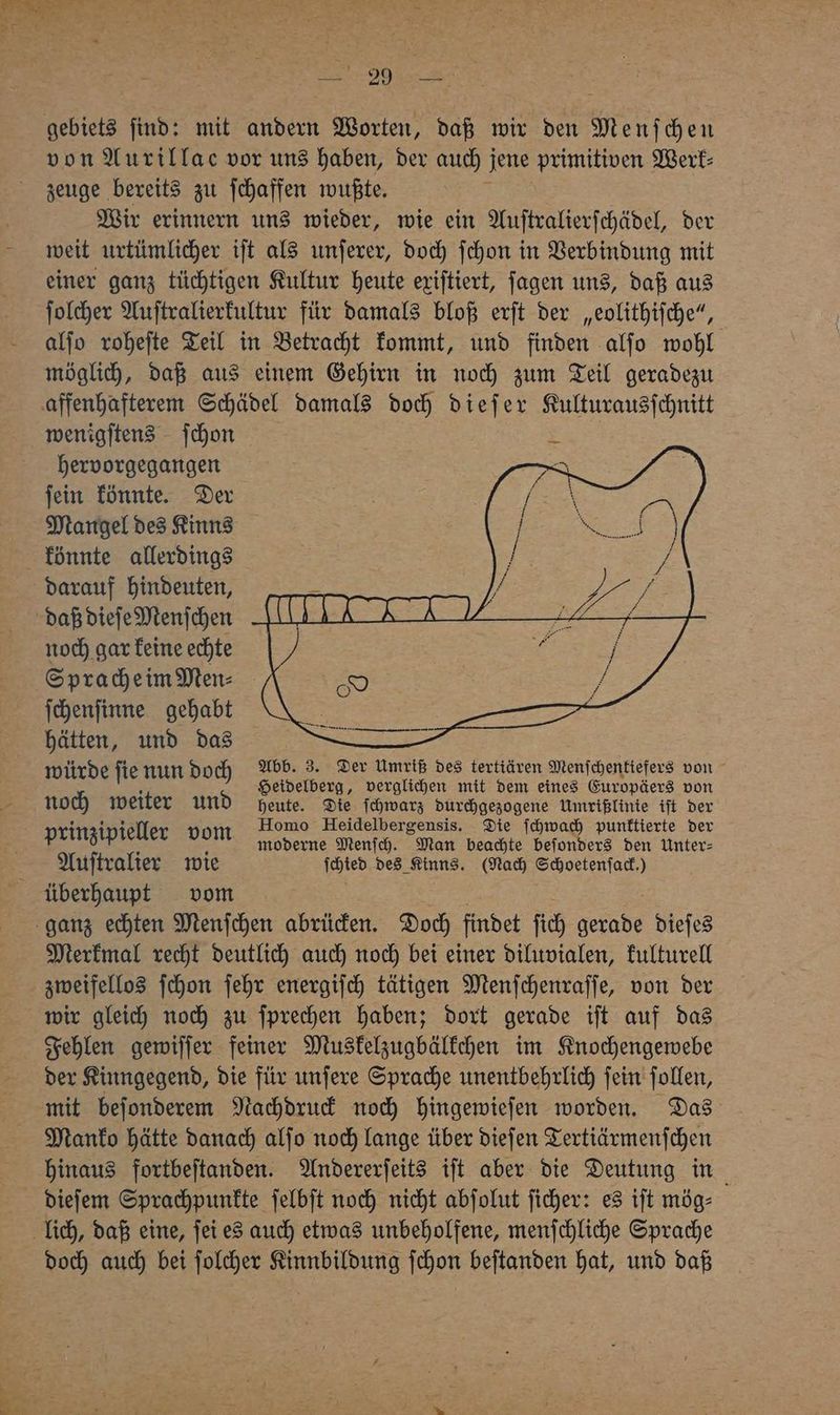 29 RrRE gebiets ſind: mit andern Worten, daß wir den Menſchen von Aurillac vor uns haben, der auch j jene primitiven Werk⸗ zeuge bereits zu ſchaffen wußte. Wir erinnern uns wieder, wie ein Auſtralierſchädel, der weit urtümlicher iſt als unſerer, doch ſchon in Verbindung mit einer ganz tüchtigen Kultur heute exiſtiert, ſagen uns, daß aus ſolcher Auſtralierkultur für damals bloß erſt der „eolithiſche“, alſo roheſte Teil in Betracht kommt, und finden alſo wohl möglich, daß aus einem Gehirn in noch zum Teil geradezu affenhafterem Schädel damals doch dieſer Kulturausſchnitt wenigſtens ſchon hervorgegangen ſein könnte. Der Mangel des Kinns könnte allerdings darauf hindeuten, daß dieſe Menſchen noch gar keine echte Sprache im Men⸗ ſchenſinne gehabt hätten, und das würde ſie nun do Abb. 3. Der Umriß des tertiären Menſchentiefers von j : ch Heidelberg, verglichen mit dem eines Europäers von noch weiter und heute. Die ſchwarz durchgezogene Umrißlinie iſt der AR Homo Heidelbergensis. Die ſchwach punktierte der prinzipieller 8 moderne Menſch. Man beachte beſonders den Unter⸗ Auſtralier wie ſchted des Kinns. (Nach Schoetenſact⸗ überhaupt vom ganz echten Menſchen abrücken. Doch findet ſich gerade dieſes Merkmal recht deutlich auch noch bei einer diluvialen, kulturell zweifellos ſchon ſehr energiſch tätigen Menſchenraſſe, von der wir gleich noch zu ſprechen haben; dort gerade iſt auf das Fehlen gewiſſer feiner Muskelzugbälkchen im Knochengewebe der Kinngegend, die für unſere Sprache unentbehrlich ſein ſollen, mit beſonderem Nachdruck noch hingewieſen worden. Das Manko hätte danach alſo noch lange über dieſen Tertiärmenſchen hinaus fortbeſtanden. Andererſeits iſt aber die Deutung in dieſem Sprachpunkte ſelbſt noch nicht abſolut ſicher: es iſt mög⸗ lich, daß eine, ſei es auch etwas unbeholfene, menſchliche Sprache doch auch bei ſolcher Kinnbildung ſchon beſtanden hat, und daß