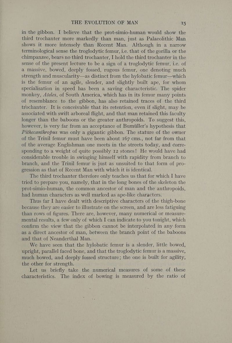 in the gibbon. I believe that the prot-simio-human would show the third trochanter more markedly than man, just as Palaeolithic Man shows it more intensely than Recent Man. Although in a narrow terminological sense the troglodytic femur, i.e. that of the gorilla or the chimpanzee, bears no third trochanter, I hold the third trochanter in the sense of the present lecture to be a sign of a troglodytic femur, i.e. of a massive, bowed, deeply fossed, rugous femur, one denoting much strength and muscularity—as distinct from the hylobatic femur—which is the femur of an agile, slender, and ‘slightly built ape, for whom specialisation in speed has been a saving characteristic. The spider monkey, Ateles, of South America, which has in its femur many points of resemblance to the gibbon, has also retained traces of the third trochanter. It is conceivable that its retention, even if slight, may be associated with swift arboreal flight, and that man retained this faculty longer than the baboons or the greater anthropoids. To suggest this, however, is very far from an acceptance of Bumiiller’s hypothesis that Pithecanthropus was only a gigantic gibbon. The stature of the owner of the Trinil femur must have been about 167 cms., not far from that of the average Englishman one meets in the streets today, and corre- sponding to a weight of quite possibly 12 stones! He would have had considerable trouble in swinging himself with rapidity from branch to branch, and the Trinil femur is just as unsuited to that form of pro- gression as that of Recent Man with which it is identical. The third trochanter therefore only teaches us that for which I have tried to prepare you, namely, that in the long bones of the skeleton the prot-simio-human, the common ancestor of man and the anthropoids, had human characters as well marked as ape-like characters. Thus far I have dealt with descriptive characters of the thigh-bone because they are easier to illustrate on the screen, and are less fatiguing than rows of figures. There are, however, many numerical or measure- mental results, a few only of which I can indicate to you tonight, which confirm the view that the gibbon cannot be interpolated in any form as a direct ancestor of man, between the branch point of the baboons and that of Neanderthal Man. We have seen that the hylobatic femur is a slender, little bowed, upright, parallel faced bone, and that the troglodytic femur is a massive, much bowed, and deeply fossed structure; the one is built for agility, the other for strength. Let us briefly take the numerical measures of some of these characteristics. The index of bowing is measured by the ratio of