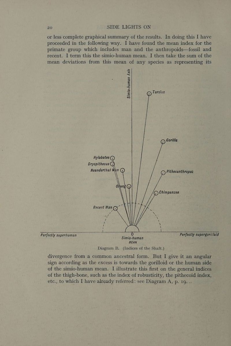 as = os = 3 fre = G) Tarsius w Cy Gorilla _Hylobates G Dryopithecus GQ) Neanderthal Man () C) Pithecanthropus Orang @) C) Chimpanzee. Recent Man aay Perfectly superhuman Perfectly supergori/loid Simio-human MEAN Diagram B. (Indices of the Shaft.)