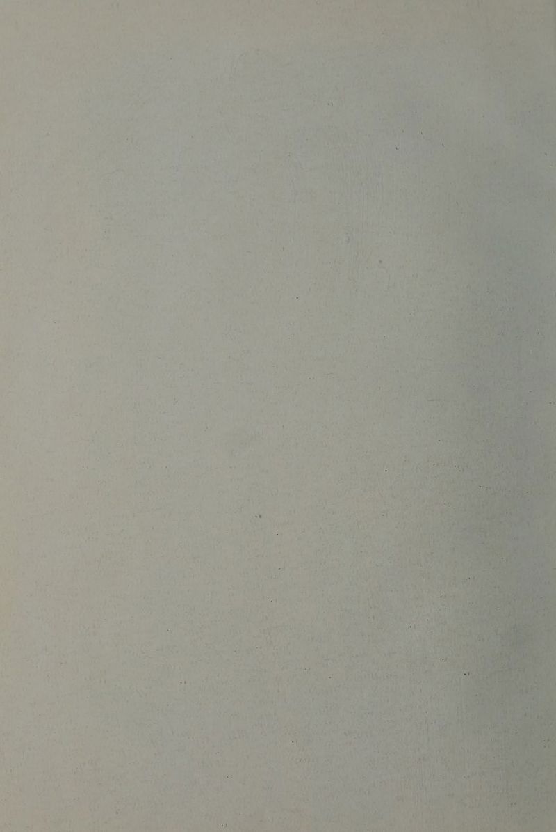 | \ ] \ 4 } A P ‘ . 1 ' : ‘ - ‘ 5 4 y . 1 7 aa . “ Kot « , . | sf hs ne aes ; \ ; woe sa ye y a ‘ h ‘ ei nS Field 45 NT >= thats = ‘ D ‘ f i ‘ \ ey Ey ' oN ah “ a ' 1 é ¢ 4 § y “4 wi r AS, <i + ree! ft = j - ba has aos: AY bILS et | wid ct Nas Ley alee De 1) ht: cite -# t Span r i ri w 2 ot - re! dh ey