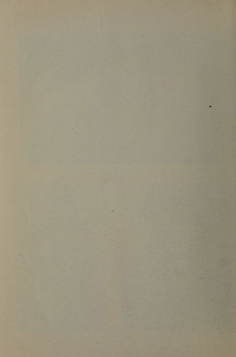 : 7 . ' eS °F ' i¥ hy “ at E iv : - ais . § 4: G * “ » f at 7 4 - 4 4 ae e » ; wt” J of ¥ ; a bee: + 7 RY Sie 4 f § ‘ x. baie teat 4 ; ; ET ee P tere