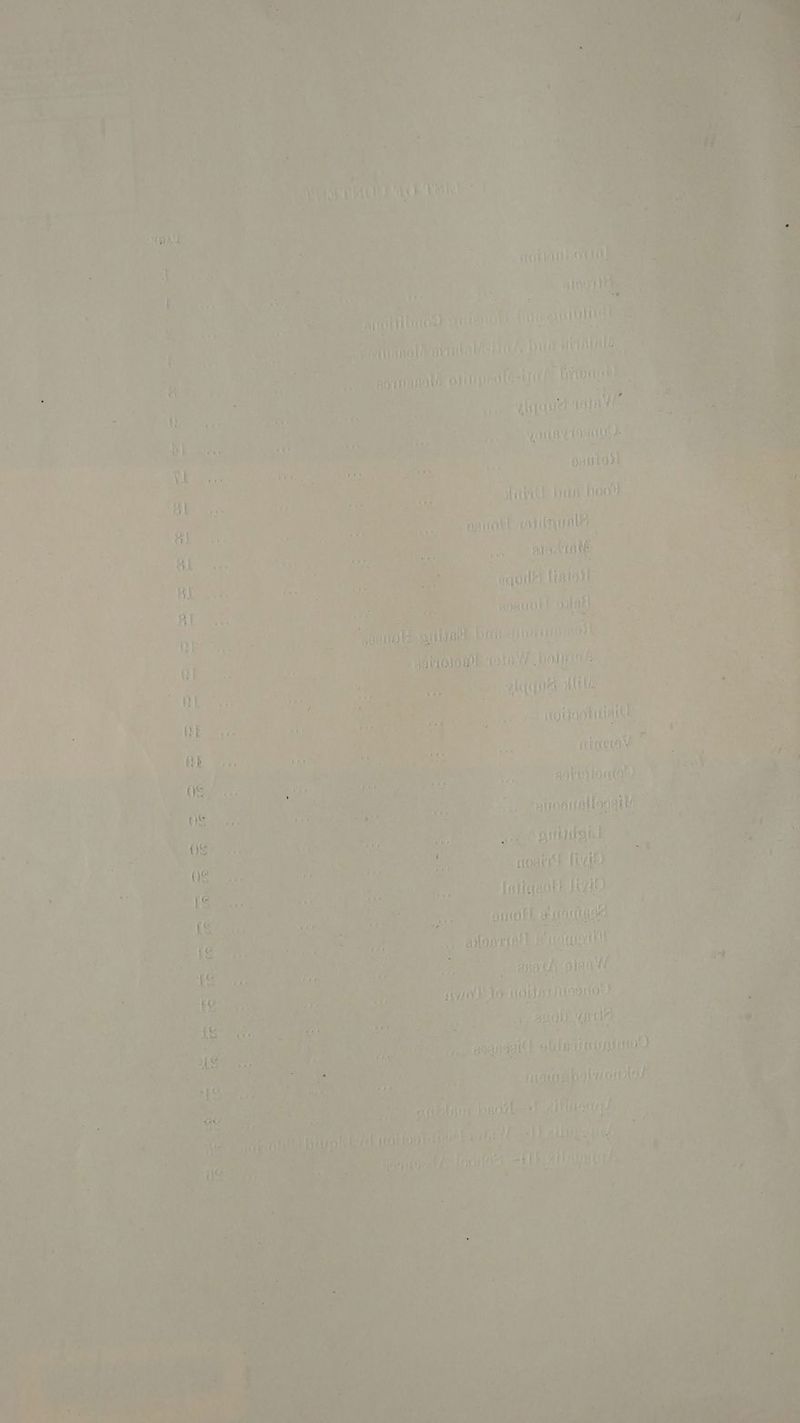 on Vs a bs mot Sa: AOR Ae alootey ii | ¥ e re o Oi of Oe Nat mie Hise ytoluee ee 3 | oe tH RAAT Synuianal Naish Vier bill HATE t : } Sarit ks at oe iN for int Shp} word rt 1 f Aone. ) wy bp etaque soins r MM oe a aie WOUaetonOO i Onirtoak © ire avid its haath . ue apniotl coniigualel 9 0) hy a eee ae i is ald, vale “ he ae ee pate ys aimee aqoile Linladl | 1 i. AE for ne ee Bi Bs oauoll dalatl Bae terten y's . ue poe oe fs) - ‘* a vote ay ou i Nes, Serta a jobs tial Biis PALLERL LER Hoek : Stance BS rae ? ; * G ° al ut jay hing cet ty “wih th | F aD (ree roe” ; 6 raotiiawto, © Ee ‘piroastallonaily ; A zh ius pane be 3 ‘ginal ‘, fy i ‘ mabe ivi) eerie , . | [uliquol! [ao onl ad qaan es f i “planta! Poet eA ie rm 7 : Panes alai W r ih oe ay to holt siio9uo0) a a | Ne br 490) (eae Nola ; ee  srascgilt laii nyaisiod . He 4 _jaomiake sinoiah i busi Hes