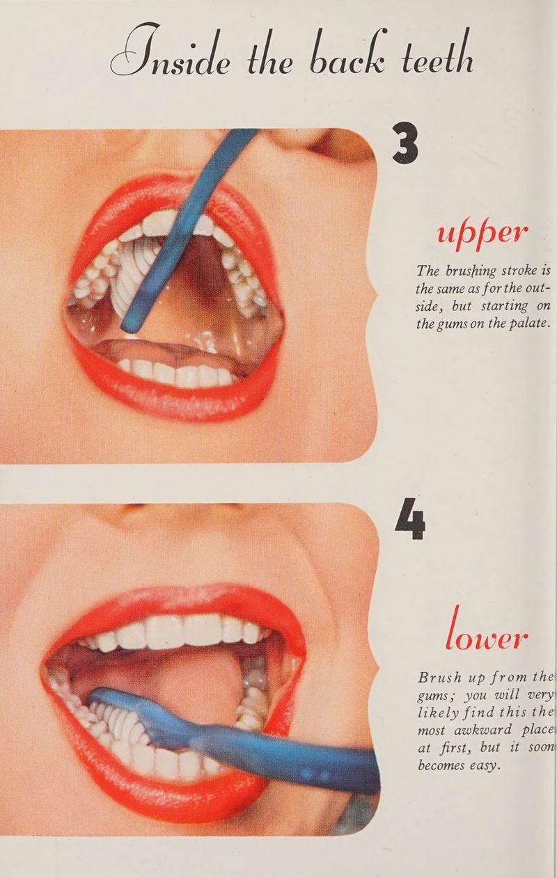 nice thawhaclananen upper The brushing stroke 1s the same as for the out- side, but starting on the gums on the palate. e wer Brush up from the) gums; you will very! likely find this the most awkward place| at first, but it soon) becomes easy.