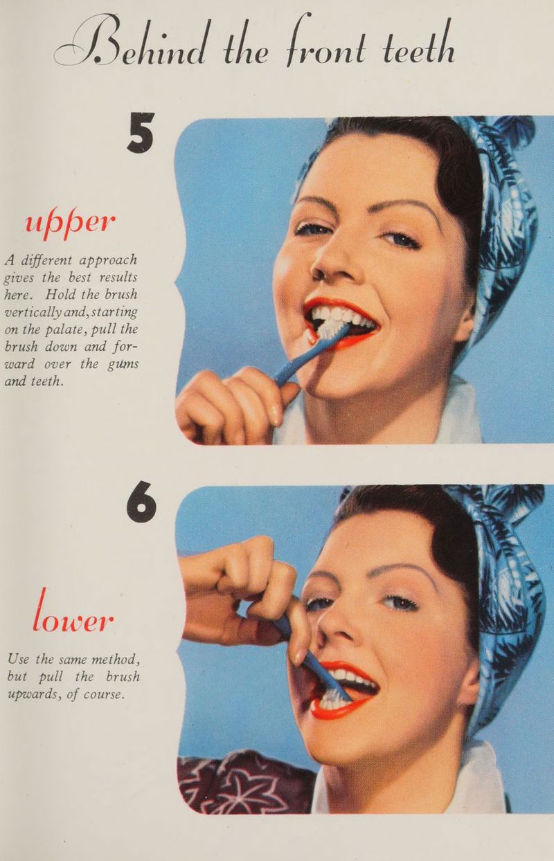 If Soe the ront iodh upper A different approach gives the best results here. Hold the brush vertically and, starting on the palate, pull the brush down and for- ward over the gums and teeth. cy Use the same method, but pull the brush upwards, of course.