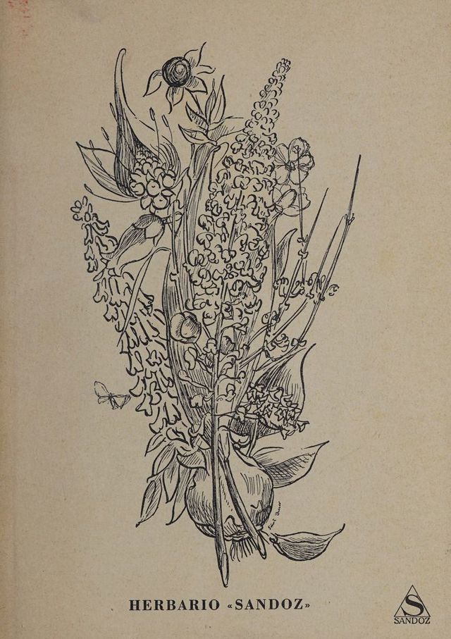 digitised image 1