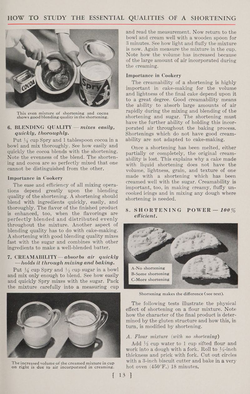quickly, thoroughly. Put 44 cup Spry and 1 tablespoon cocoa in a bowl and mix thoroughly. See how easily and quickly the cocoa blends with the shortening. Note the evenness of the blend. The shorten- ing and cocoa are so perfectly mixed that one eannot be distinguished from the other. Importance in Cookery The ease and efficiency of all mixing opera- tions depend greatly upon the blending quality of the shortening. A shortening should blend with ingredients quickly, easily, and thoroughly. The flavor of the finished product is enhanced, too, when the flavorings are perfectly blended and distributed evenly throughout the mixture. Another aspect of blending quality has to do with cake-making. A shortening with good blending quality mixes fast with the sugar and combines with other ingredients to make a well-blended batter. The increased volume of the creamed mixture in cup On right is due to air incorporated in creaming. and read the measurement. Now return to the bowl and cream well with a wooden spoon for 3 minutes. See how light and fluffy the mixture is now. Again measure the mixture in the cup. Note how the volume has increased because of the large amount of air incorporated during the creaming. Importance in Cookery The creamability of a shortening is highly important in cake-making for the volume and lightness of the final cake depend upon it to a great degree. Good creamability means the ability to absorb large amounts of air rapidly during the mixing and blending of the shortening and sugar. The shortening must have the further ability of holding this incor- Shortenings which do not have good cream- ability are not adapted to cake-making. Once a shortening has been melted, either partially or completely, the original cream- ability is lost. This explains why a cake made with lquid shortening does not have the volume, lightness, grain, and texture of one made with a shortening which has _ been creamed well with the sugar. Creamability is important, too, in making creamy, fluffy un- cooked icings and in mixing any dough where shortening is needed. 8. SHORTENING POWER — 100% efficient. ee Shortening makes the difference (see text). The following tests illustrate the physical effect of shortening on a flour mixture. Note how the character of the final product is deter- mined by the gluten structure and how this, in turn, is modified by shortening. A. Flour mixture (with no shortening) Add 4 cup water to 1 cup sifted flour and work into a dough with a fork. Roll to -inch thickness and prick with fork. Cut out circles with a 3-inch biscuit cutter and bake in a very hot oven (450°F.) 18 minutes.