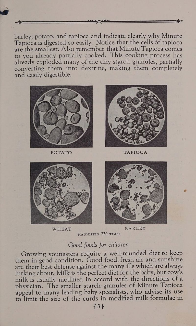 barley, potato, and tapioca and indicate clearly why Minute Tapioca is digested so easily. Notice that the cells of tapioca are the smallest. Also remember that Minute Tapioca comes to you already partially cooked. This cooking process has already exploded many of the tiny starch granules, partially converting them into dextrine, making them completely and easily digestible. POTATO TAPIOCA Good foods for children Growing youngsters require a well-rounded diet to keep them in good condition. Good food, fresh air and sunshine are their best defense against the many ills which are always lurking about. Milk is the perfect diet for the baby, but cow’s milk is usually modified in accord with the directions of a physician. The smaller starch granules of Minute Tapioca appeal to many leading baby specialists, who advise its use to limit the size of the curds in modified milk formulae in 13}