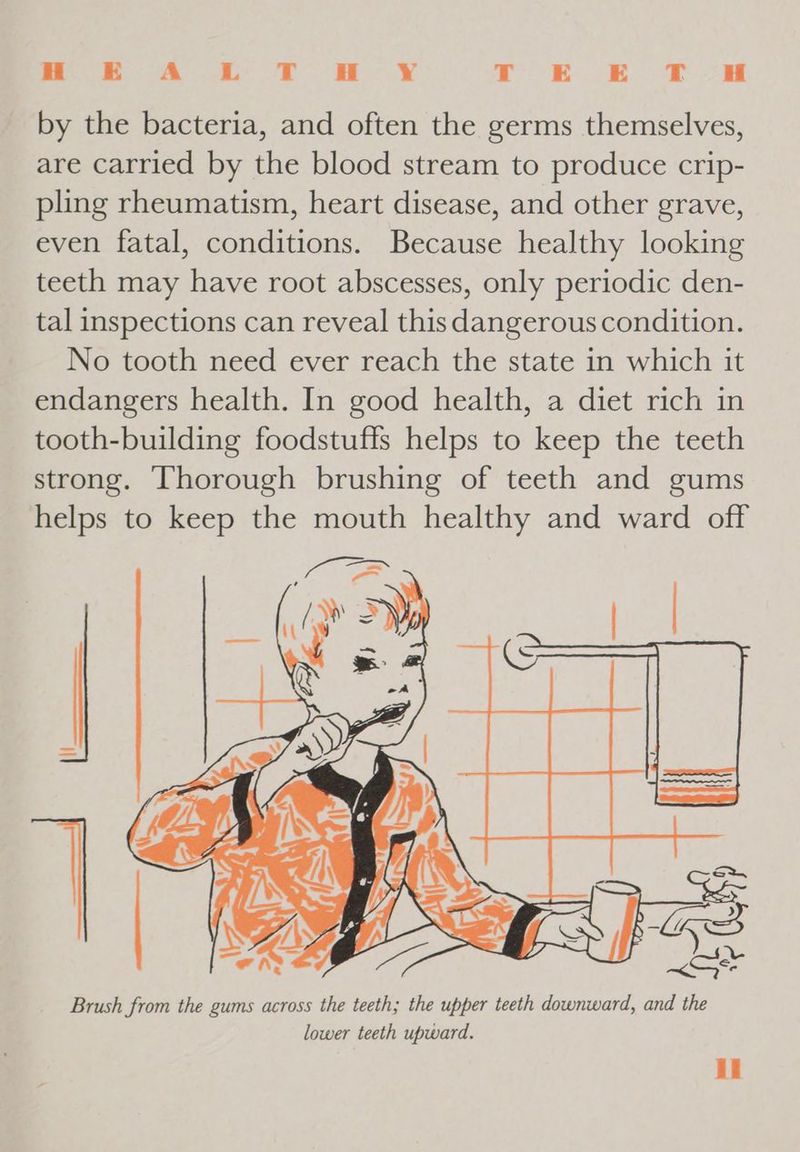 ae we EO EE Po oe OE EE ee by the bacteria, and often the germs themselves, are carried by the blood stream to produce crip- pling rheumatism, heart disease, and other grave, even fatal, conditions. Because healthy looking teeth may have root abscesses, only periodic den- tal inspections can reveal this dangerous condition. No tooth need ever reach the state in which it endangers health. In good health, a diet rich in tooth-building foodstuffs helps to keep the teeth strong. Thorough brushing of teeth and gums helps to keep the mouth healthy and ward off Brush from the gums across the teeth; the upper teeth downward, and the lower teeth upward.