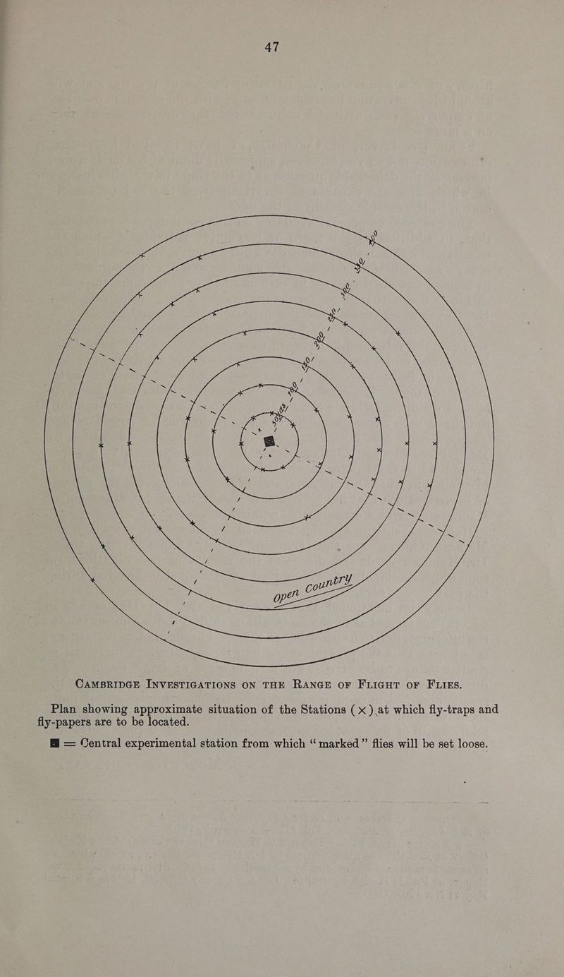 Plan showing approximate situation of the Stations ( x ),at which fly-traps and fly-papers are to be located. @ = Central experimental station from which “ marked ” flies will be set loose.
